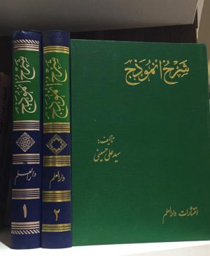 شرح انموذج (جلد3)