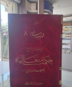 ترجمه و شرح حکمت متعالیه جلد 8